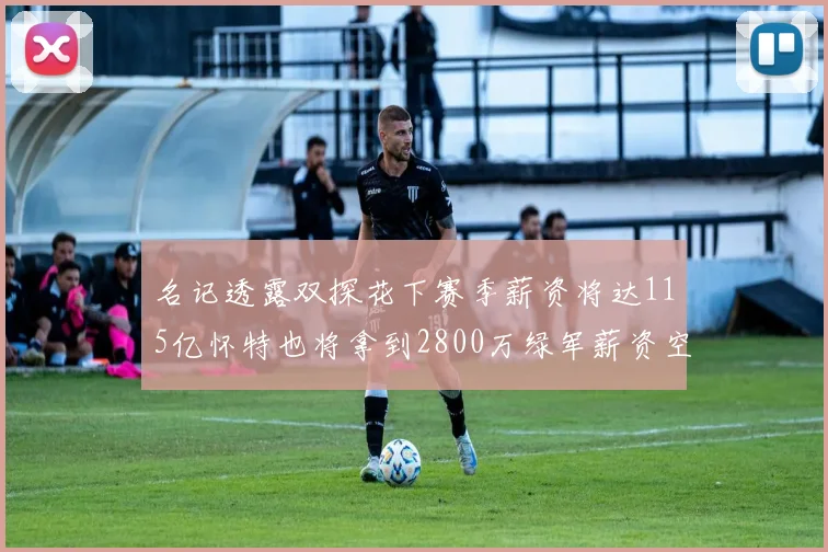 名记透露双探花下赛季薪资将达115亿怀特也将拿到2800万绿军薪资空间依旧紧张