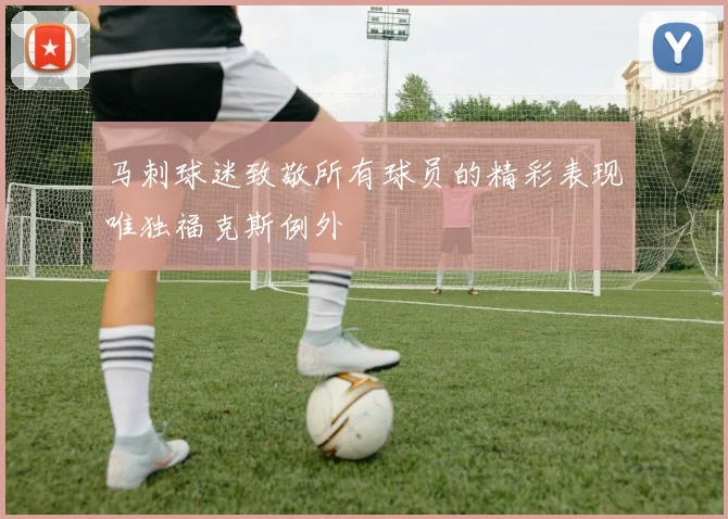 马刺球迷致敬所有球员的精彩表现唯独福克斯例外