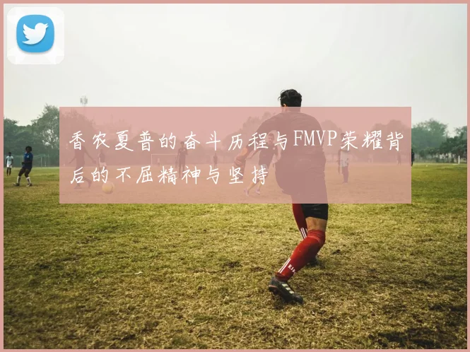 香农夏普的奋斗历程与FMVP荣耀背后的不屈精神与坚持